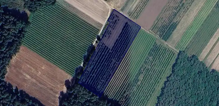 Działka na sprzedaż - LUBELSKIE, łukowski, Adamów, Kalinowy Dół 7