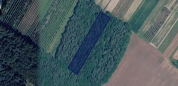 Działka na sprzedaż - LUBELSKIE, łukowski, Adamów, Kalinowy Dół 12