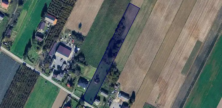 Działka na sprzedaż - LUBELSKIE, łęczyński, Spiczyn, Januszówka 107/1