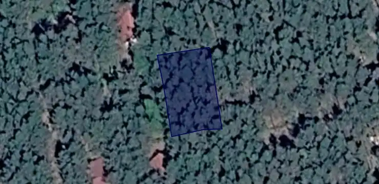 Działka na sprzedaż - WIELKOPOLSKIE, czarnkowsko-trzcianecki, Wieleń, Biała 233/17