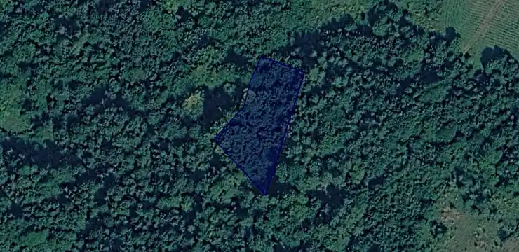 Działka na sprzedaż - PODKARPACKIE, brzozowski, Brzozów, Przysietnica 6548
