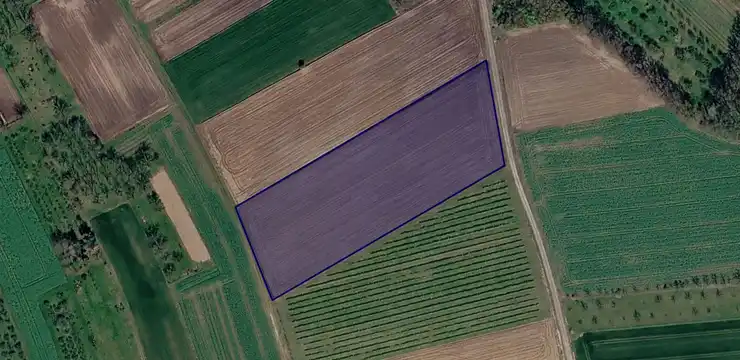 Działka na sprzedaż - PODKARPACKIE, przeworski, Zarzecze, Siennów 1116