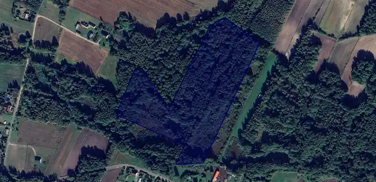 Działka na sprzedaż - LUBELSKIE, łęczyński, Ludwin, Czarny Las 71/2