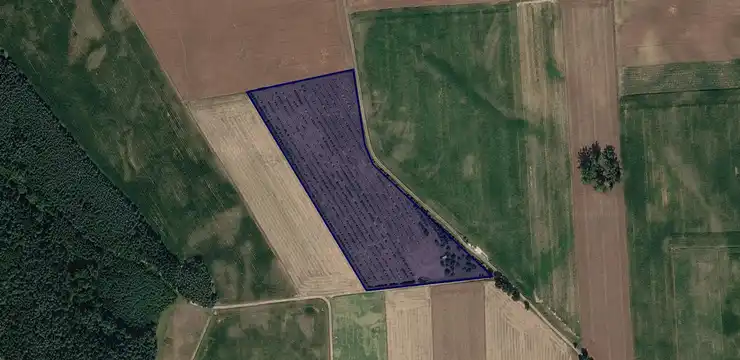 Działka na sprzedaż - KUJAWSKO-POMORSKIE, mogileński, Mogilno, Padniewo 153/3