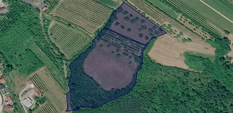 Działka na sprzedaż - MAŁOPOLSKIE, nowosądecki, Łącko, 1250