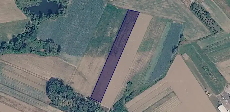 Działka na sprzedaż - MAZOWIECKIE, kozienicki, Sieciechów, 233