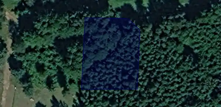 Działka na sprzedaż - WARMIŃSKO-MAZURSKIE, szczycieński, Dźwierzuty, Linowo 291/48
