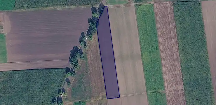 Działka na sprzedaż - ŁÓDZKIE, łowicki, Łowicz, Strzelcew 282