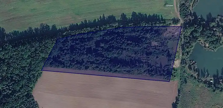Działka na sprzedaż - LUBUSKIE, nowosolski, Kożuchów, Podbrzezie Górne 25/2