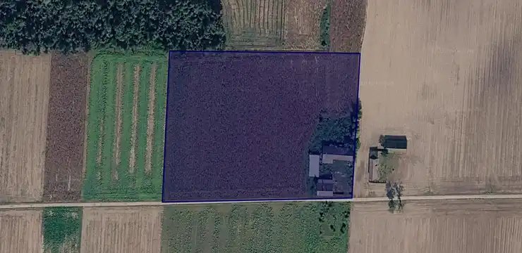 Działka na sprzedaż - ŁÓDZKIE, kutnowski, Żychlin, Grzybów 31