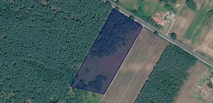 Działka na sprzedaż - KUJAWSKO-POMORSKIE, aleksandrowski, Raciążek, Siarzewo 20/1