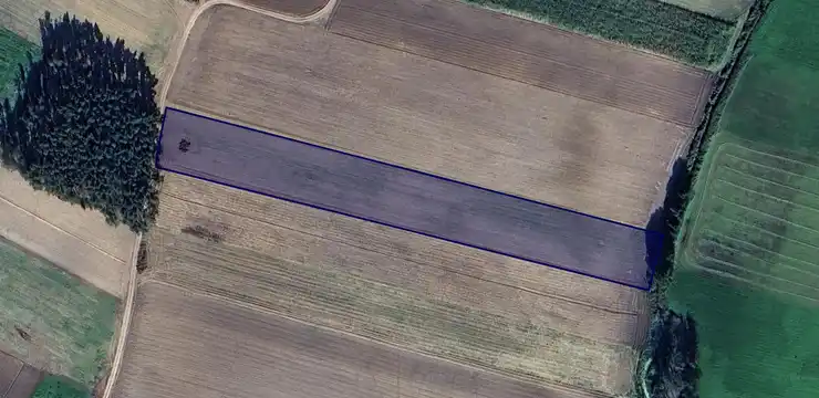 Działka na sprzedaż - WIELKOPOLSKIE, wolsztyński, Przemęt, Bucz 184