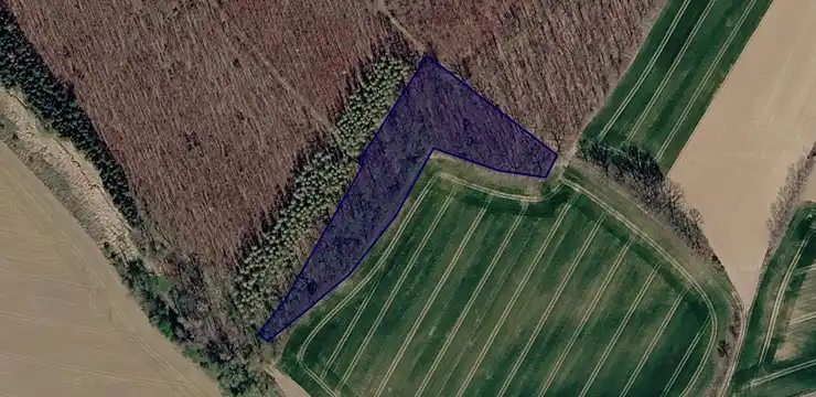 Działka na sprzedaż - DOLNOŚLĄSKIE, dzierżoniowski, Niemcza, Podlesie 141