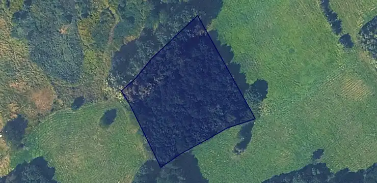 Działka na sprzedaż - PODKARPACKIE, rzeszowski, Tyczyn, Borek Stary 444