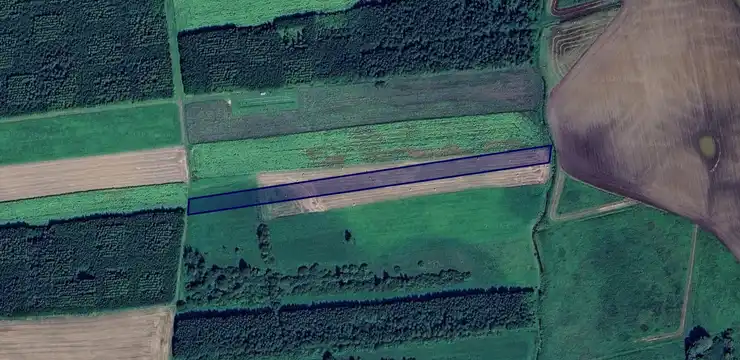 Działka na sprzedaż - WARMIŃSKO-MAZURSKIE, kętrzyński, Barciany, Momajny 251