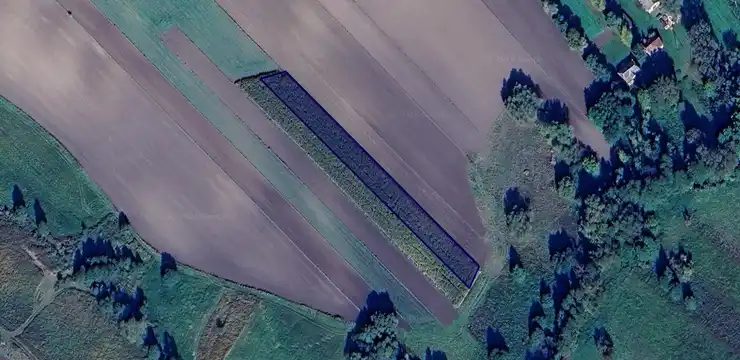 Działka na sprzedaż - LUBELSKIE, zamojski, Grabowiec, Skomorochy Duże 312