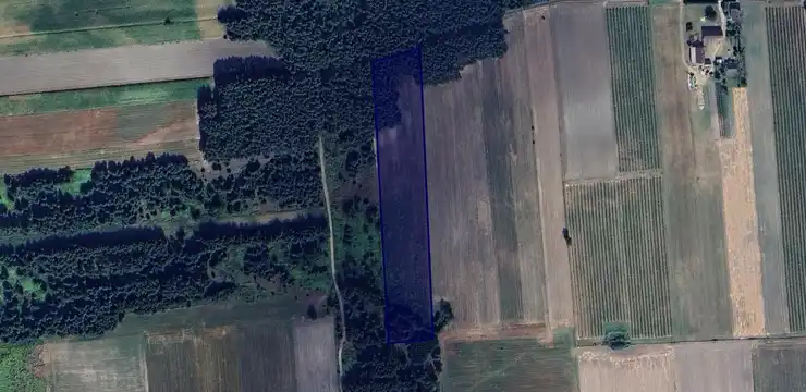 Działka na sprzedaż - LUBELSKIE, puławski, Baranów, Czołna 222