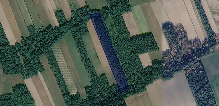 Działka na sprzedaż - LUBELSKIE, tomaszowski, Susiec, Ciotusza Nowa 634/1