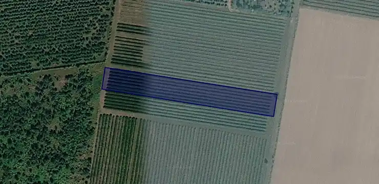 Działka na sprzedaż - MAZOWIECKIE, żyrardowski, Puszcza Mariańska, Stary Łajszczew 28/11