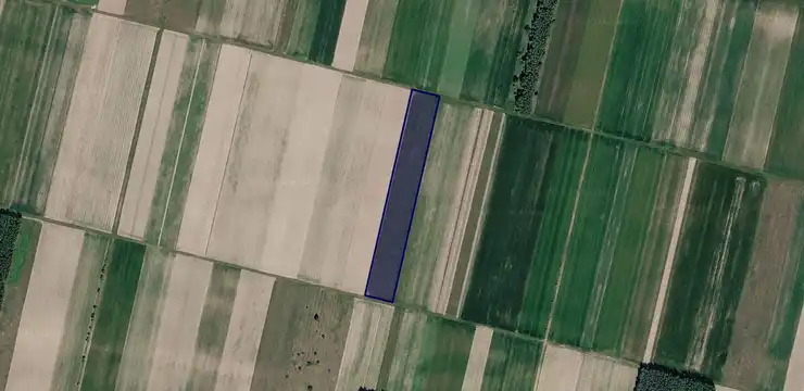 Działka na sprzedaż - LUBELSKIE, lubartowski, Niedźwiada, Pałecznica 1151
