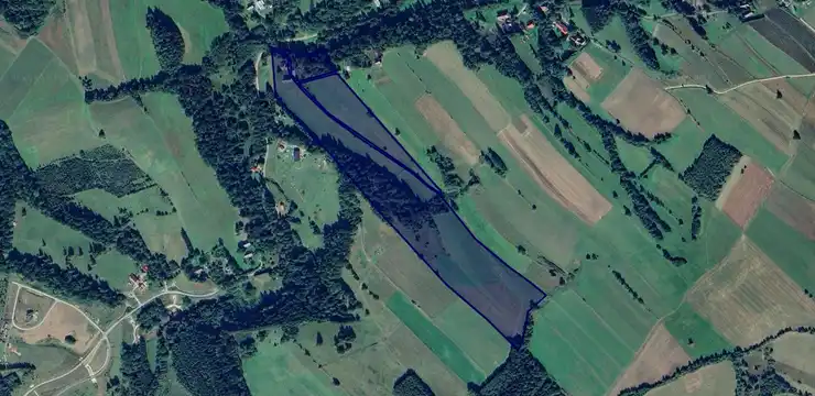 Działka na sprzedaż - DOLNOŚLĄSKIE, kłodzki, Międzylesie, Pisary 302/4
