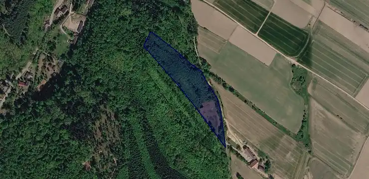 Działka na sprzedaż - DOLNOŚLĄSKIE, ząbkowicki, Kamieniec Ząbkowicki, Ożary 296/2