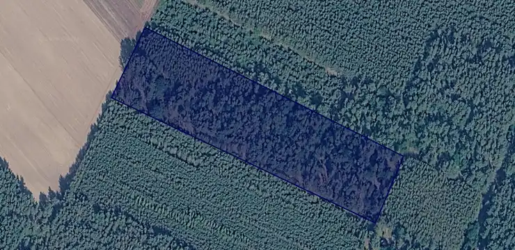 Działka na sprzedaż - WIELKOPOLSKIE, kępiński, Trzcinica, Wodziczna 748/6