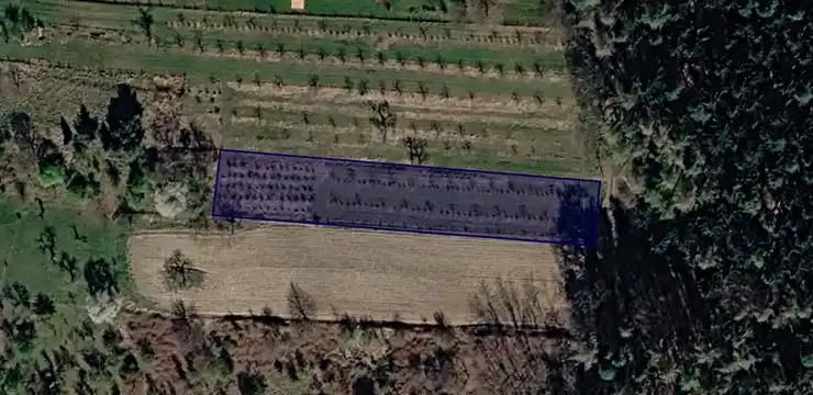 Działka na sprzedaż - DOLNOŚLĄSKIE, świdnicki, Marcinowice, Sady 67/2