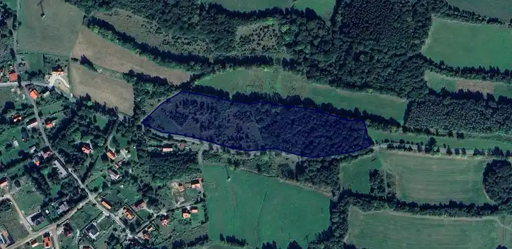 Działka na sprzedaż - DOLNOŚLĄSKIE, wałbrzyski, Walim, Olszyniec 56/1