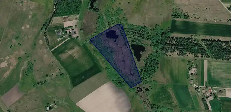 Działka na sprzedaż - LUBELSKIE, lubartowski, Niedźwiada, Pałecznica Kolonia 80