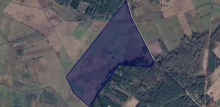 Działka na sprzedaż - PODLASKIE, bielski, Orla, Pawlinowo 1