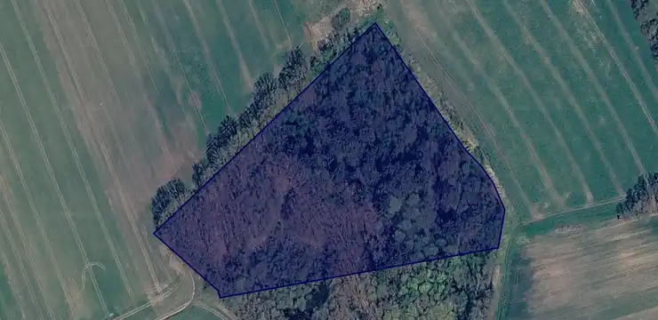 Działka na sprzedaż - ZACHODNIOPOMORSKIE, stargardzki, Stara Dąbrowa, Tolcz 85/2