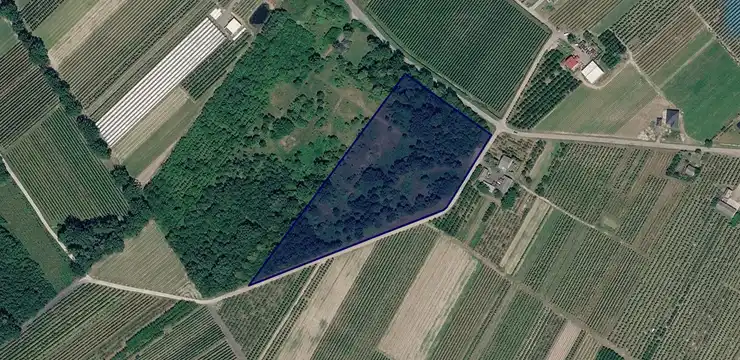 Działka na sprzedaż - MAZOWIECKIE, grójecki, Pniewy, Ginetówka 25/15