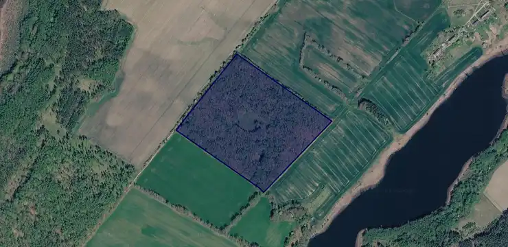 Działka na sprzedaż - POMORSKIE, człuchowski, Przechlewo, Lisewo 266/21