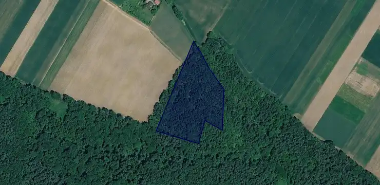 Działka na sprzedaż - MAŁOPOLSKIE, olkuski, Trzyciąż, Ściborzyce 72/1