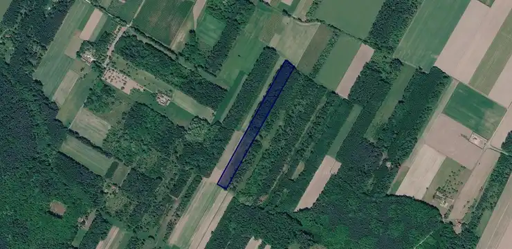 Działka na sprzedaż - ŁÓDZKIE, skierniewicki, Kowiesy, Borszyce 22/1