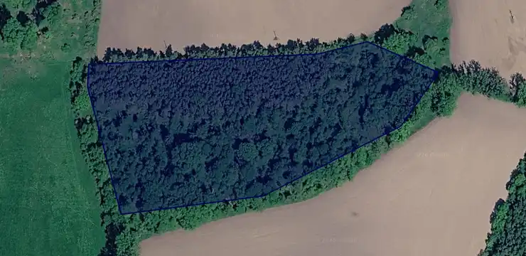 Działka na sprzedaż - WIELKOPOLSKIE, grodziski, Kamieniec, Cykowo 42