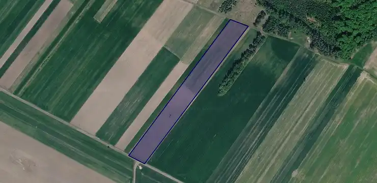 Działka na sprzedaż - ŚLĄSKIE, częstochowski, Dąbrowa Zielona, 2391/1