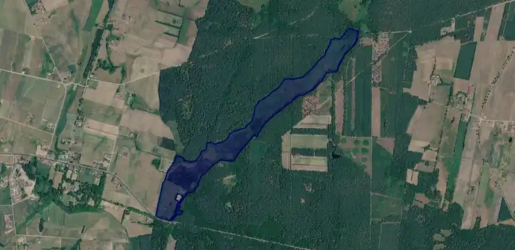 Działka na sprzedaż - KUJAWSKO-POMORSKIE, rypiński, Skrwilno, Okalewo 1185/6