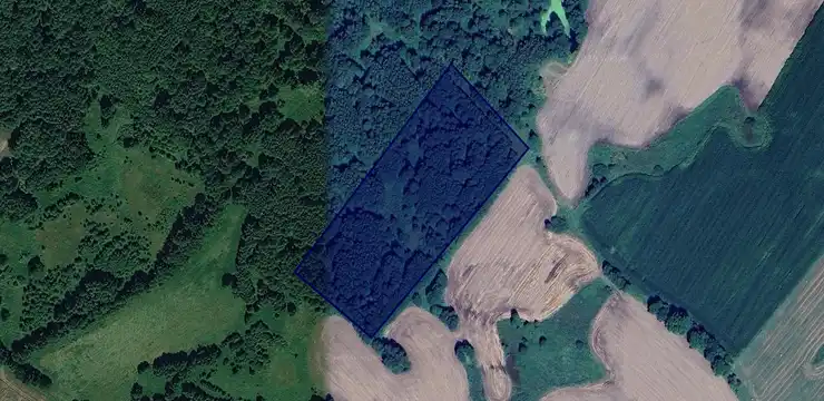 Działka na sprzedaż - WARMIŃSKO-MAZURSKIE, braniewski, Lelkowo, Wołowo 16