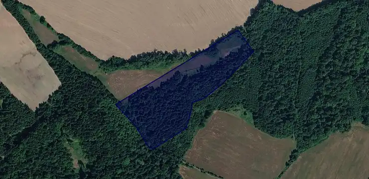 Działka na sprzedaż - DOLNOŚLĄSKIE, złotoryjski, Świerzawa, Rząśnik 186/8