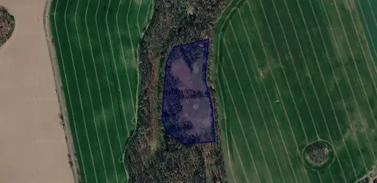Działka na sprzedaż - DOLNOŚLĄSKIE, dzierżoniowski, Dzierżoniów, Roztocznik 343