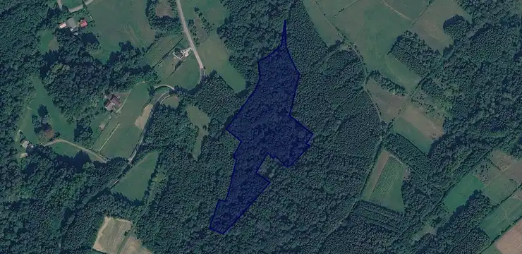 Działka na sprzedaż - PODKARPACKIE, brzozowski, Nozdrzec, Hłudno 2428
