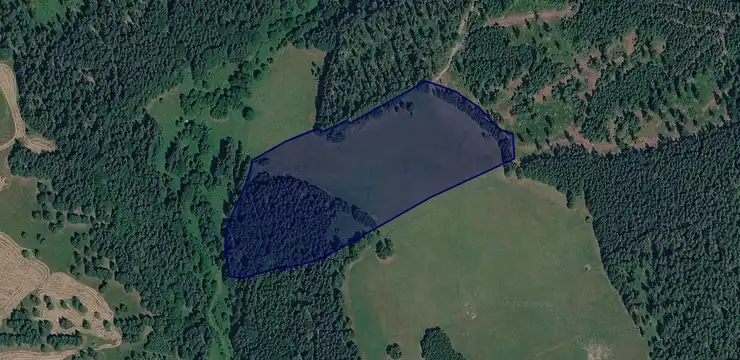 Działka na sprzedaż - DOLNOŚLĄSKIE, kłodzki, Bystrzyca Kłodzka, Poręba Lasy 46