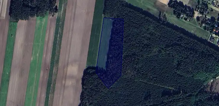 Działka na sprzedaż - WIELKOPOLSKIE, wolsztyński, Przemęt, Radomierz 239