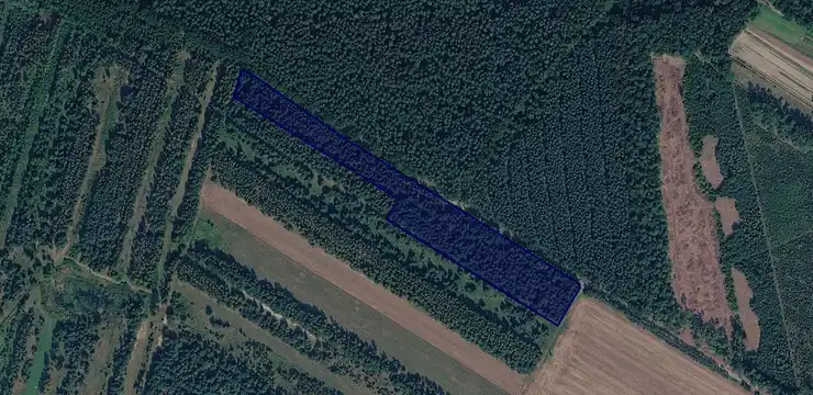 Działka na sprzedaż - ŚLĄSKIE, częstochowski, Lelów, Nakło 3956