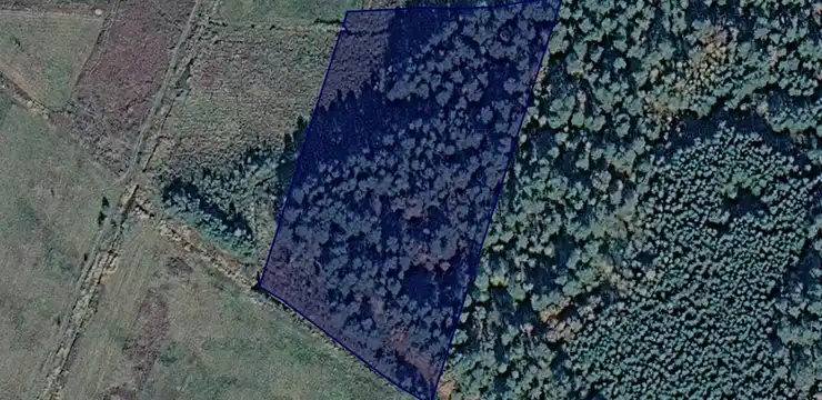 Działka na sprzedaż - PODKARPACKIE, lubaczowski, Lubaczów, Borowa Góra 540/1