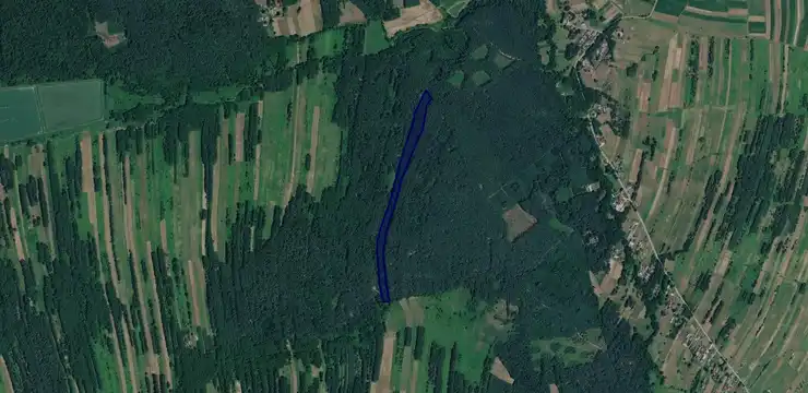 Działka na sprzedaż - PODKARPACKIE, kolbuszowski, Kolbuszowa, Widełka 1039/3