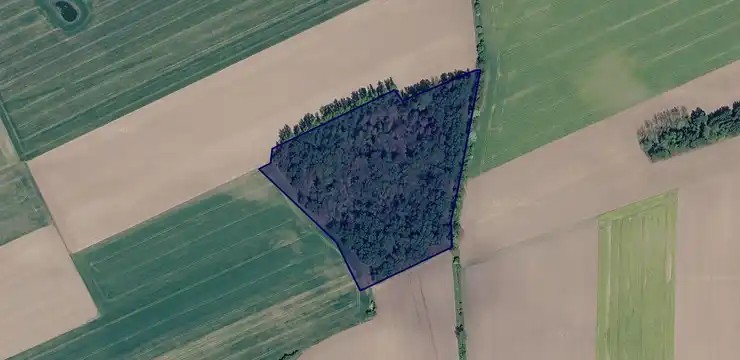 Działka na sprzedaż - POMORSKIE, człuchowski, Debrzno, Strzeczona 742/14