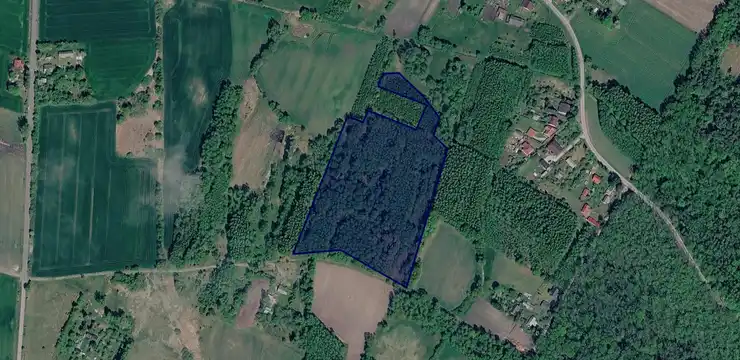 Działka na sprzedaż - LUBELSKIE, chełmski, Rejowiec, Wereszcze Duże 193/4